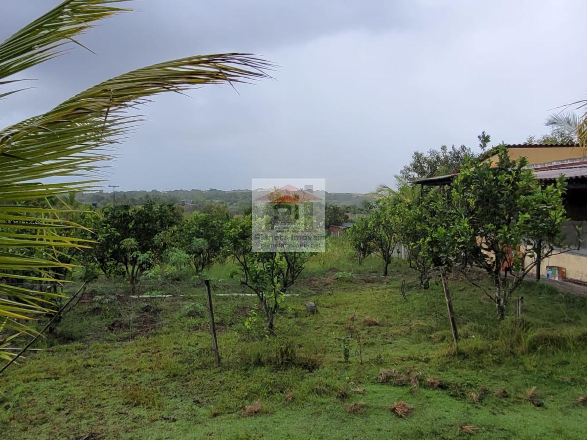 Sítio, 2 quartos, 4 hectares - Foto 9