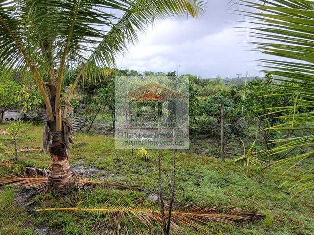 Sítio, 2 quartos, 4 hectares - Foto 11