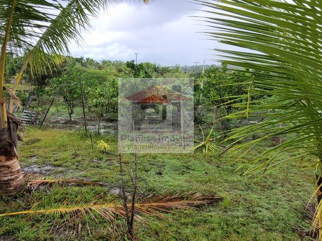 Sítio, 2 quartos, 4 hectares - Foto 10