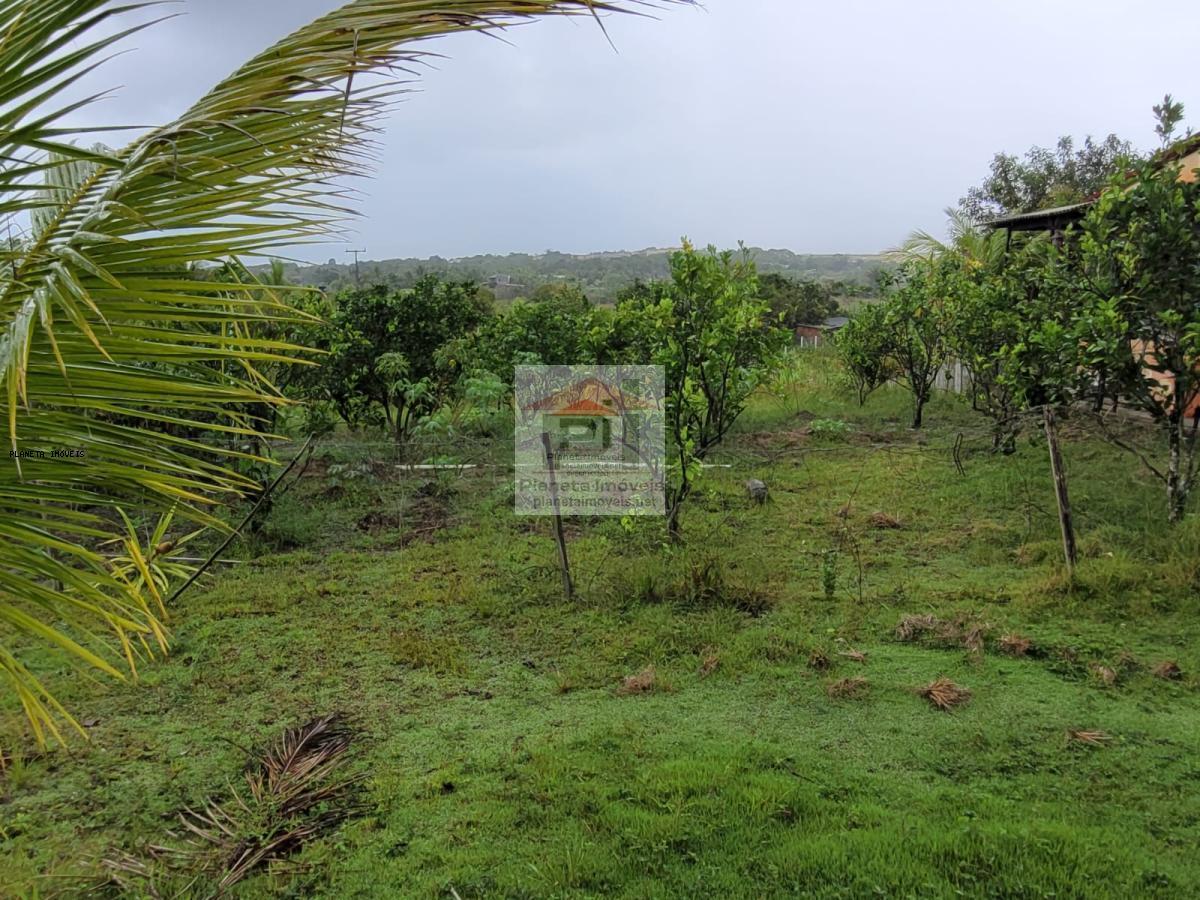 Sítio, 2 quartos, 4 hectares - Foto 12