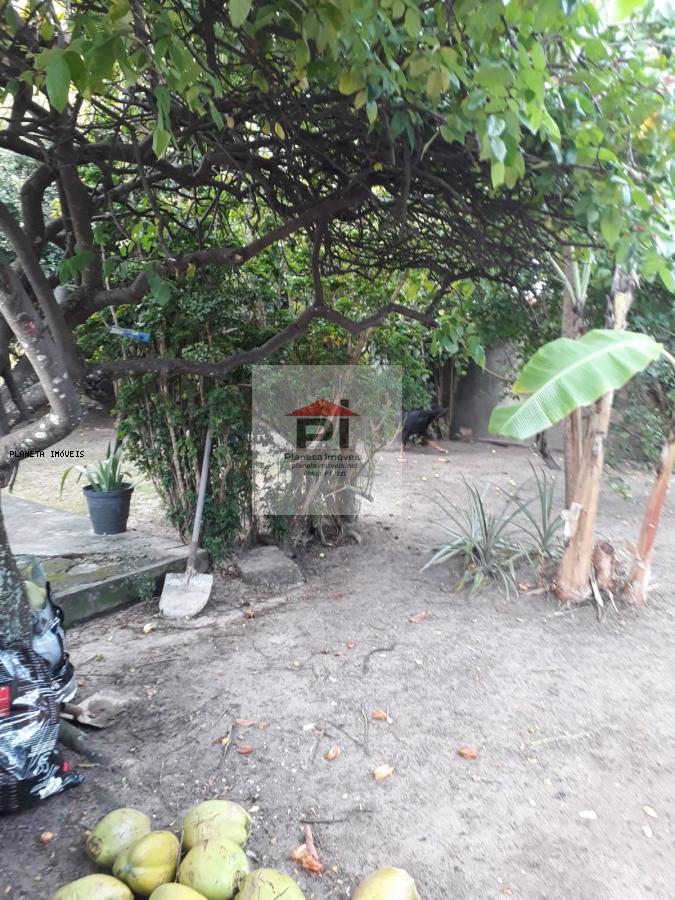 Casa, 5 quartos, 845 m² - Foto 9