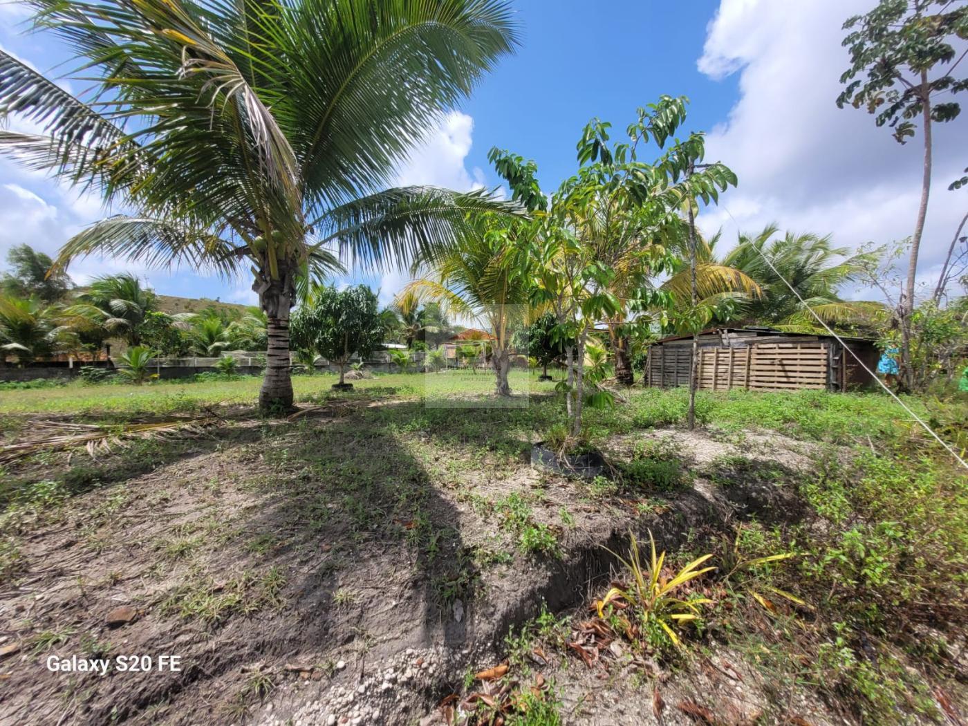 Sítio, 2 quartos, 4 hectares - Foto 26