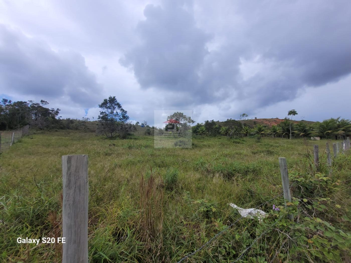 Sítio, 2 quartos, 4 hectares - Foto 28