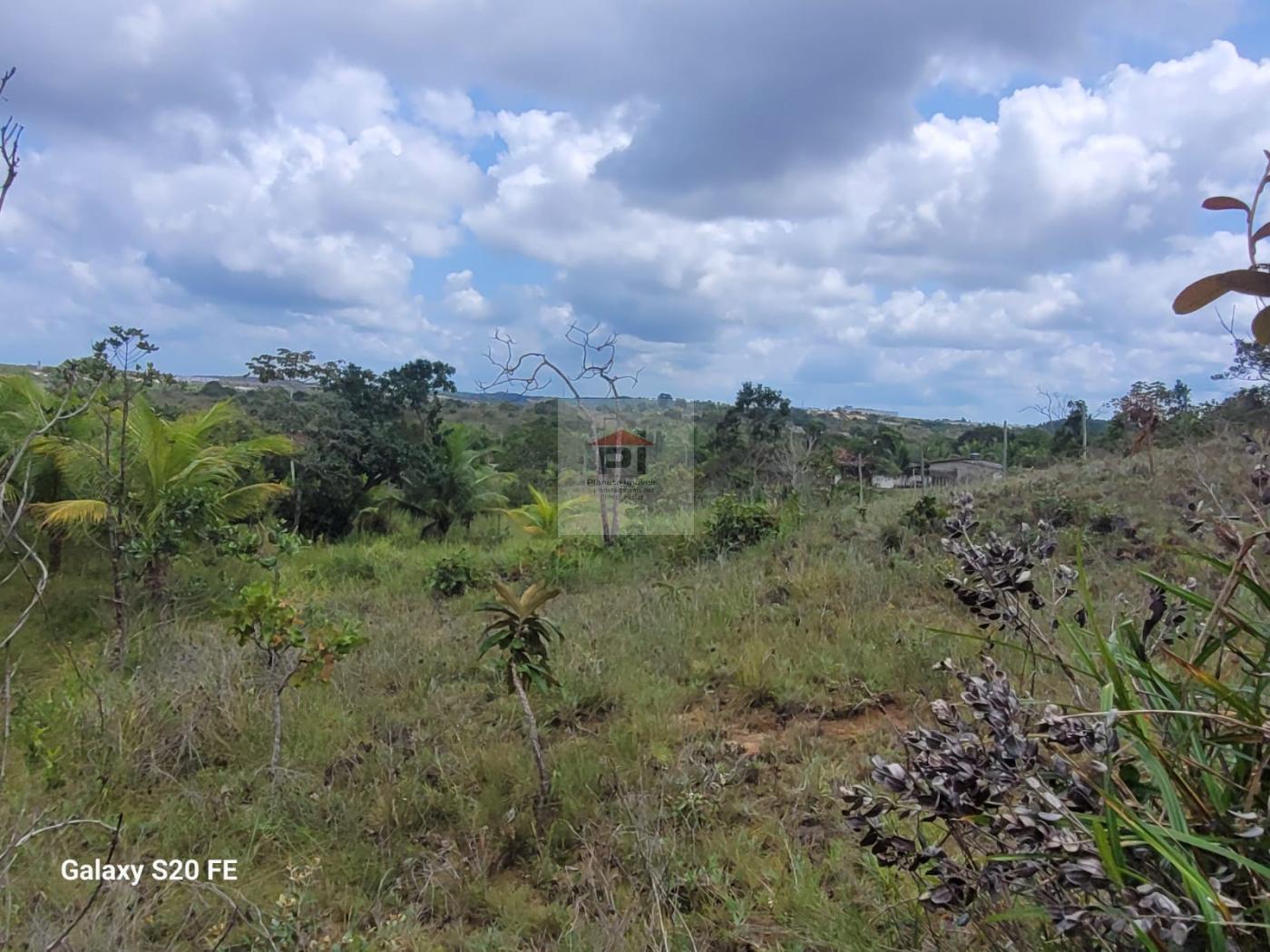 Terreno à venda, 4000m² - Foto 7