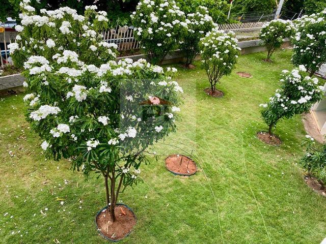 Apartamento, 4 quartos, 240 m² - Foto 28