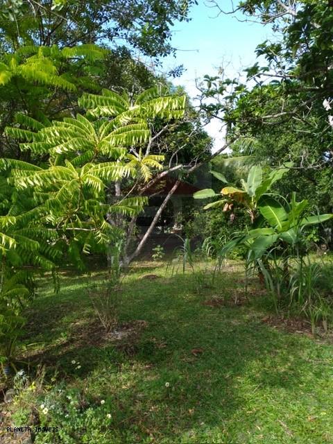 Chácara, 3 quartos, 3200 m² - Foto 6