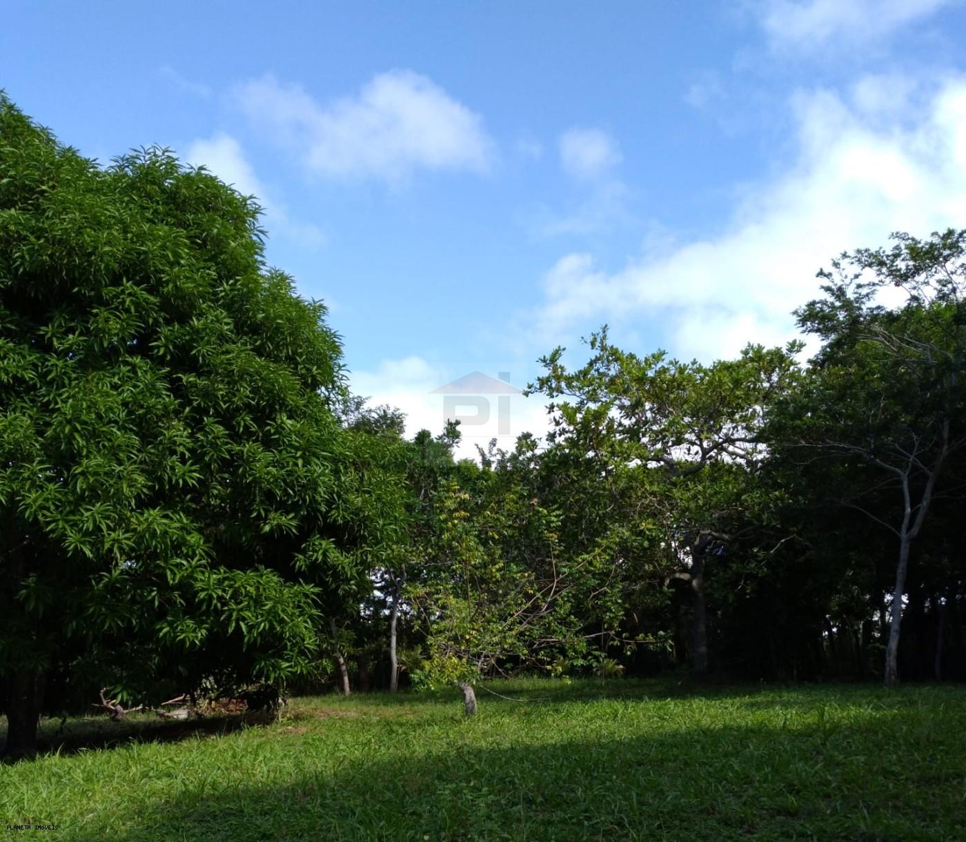 Chácara, 3 quartos, 3200 m² - Foto 7