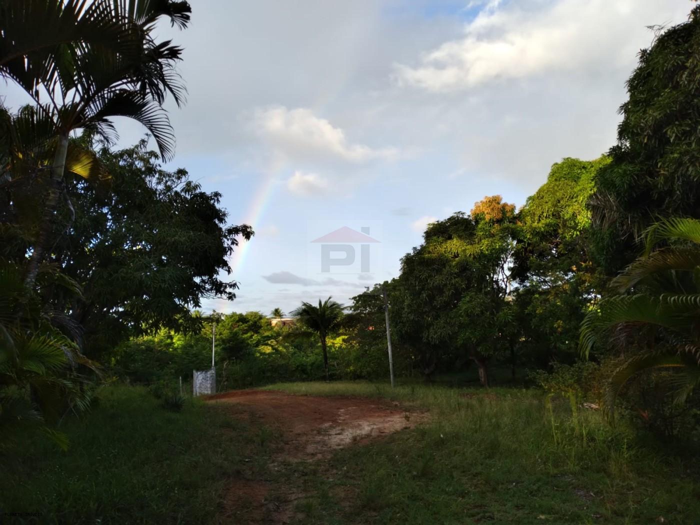 Chácara, 3 quartos, 3200 m² - Foto 9