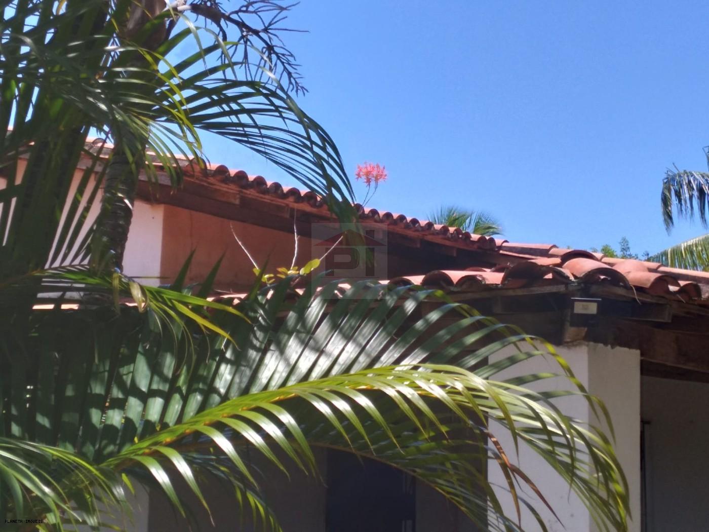 Chácara, 3 quartos, 3200 m² - Foto 10