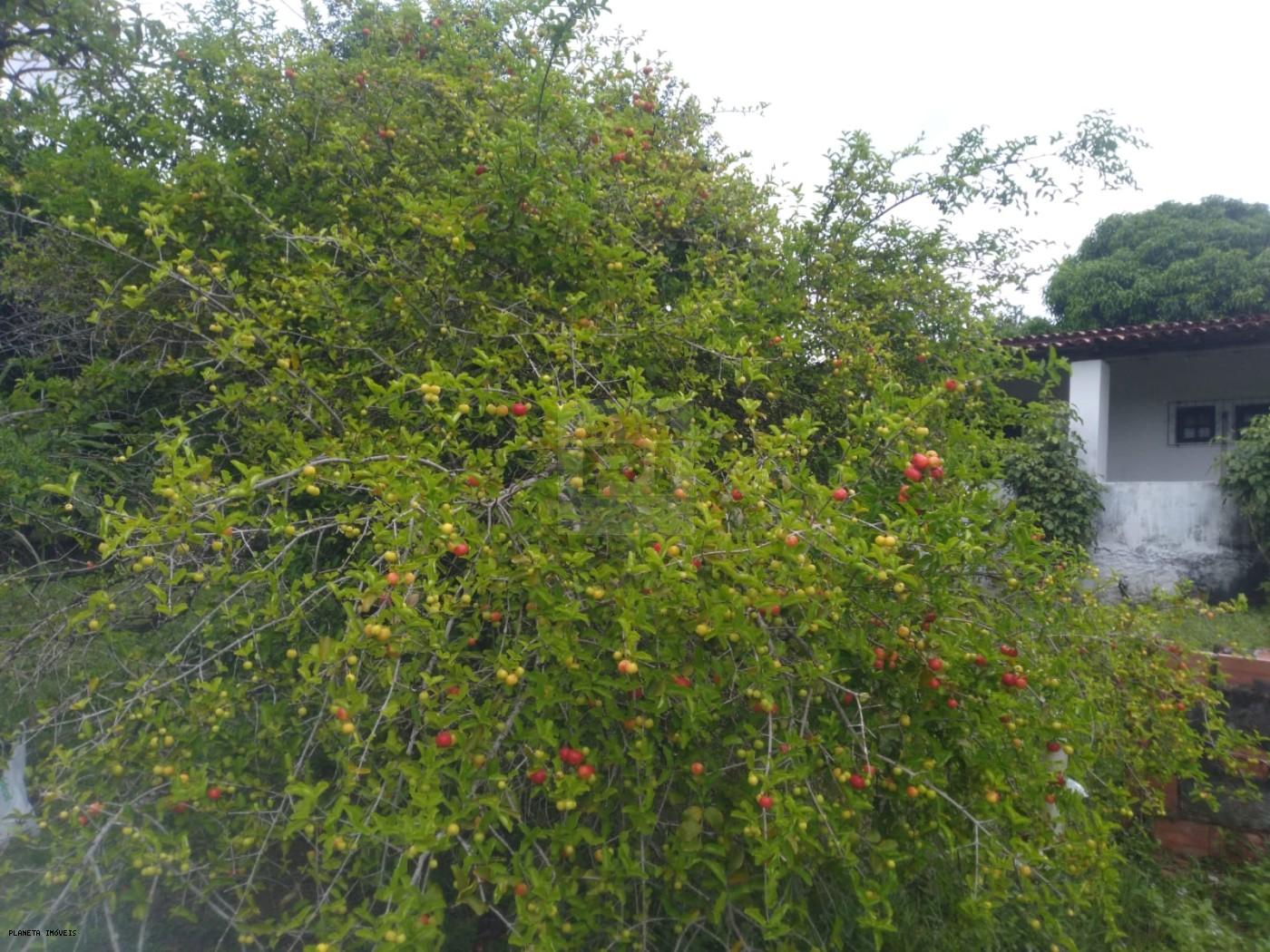 Chácara, 3 quartos, 3200 m² - Foto 12