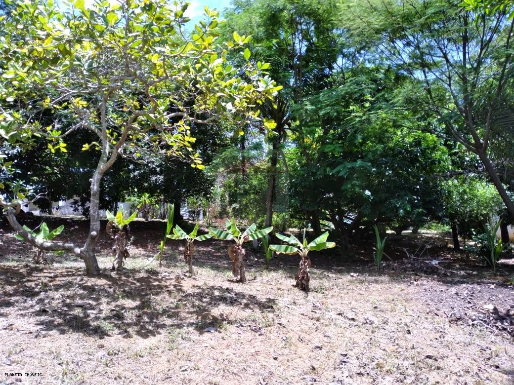 Chácara, 3 quartos, 3200 m² - Foto 19