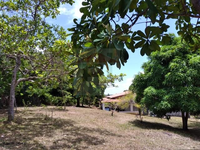 Chácara, 3 quartos, 3200 m² - Foto 22