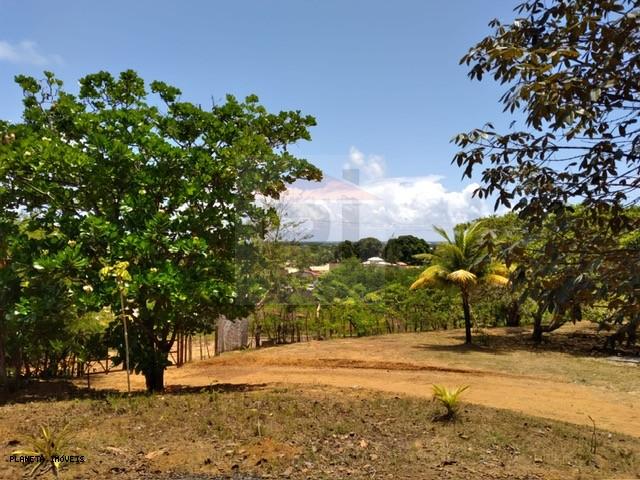 Chácara, 3 quartos, 3200 m² - Foto 20