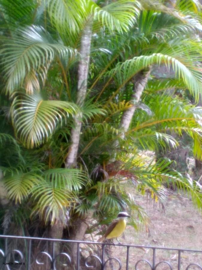 Chácara, 3 quartos, 3200 m² - Foto 23