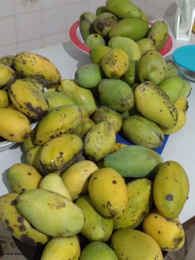 Chácara, 3 quartos, 3200 m² - Foto 24