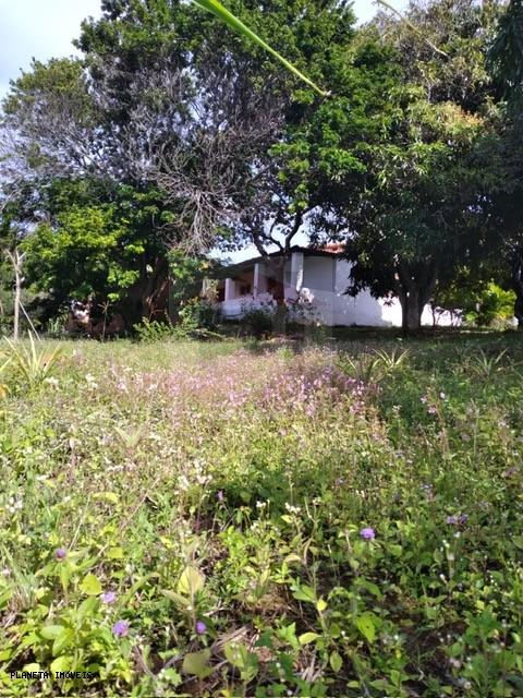 Chácara, 3 quartos, 3200 m² - Foto 27